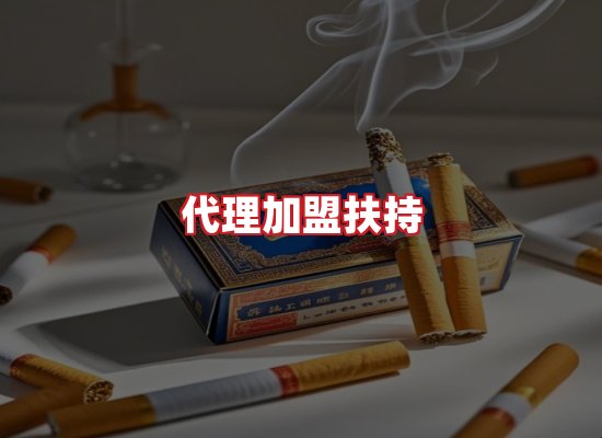 专业团队